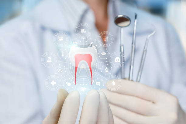 Best Root Canal Treatment  in Key Biscayne, FL